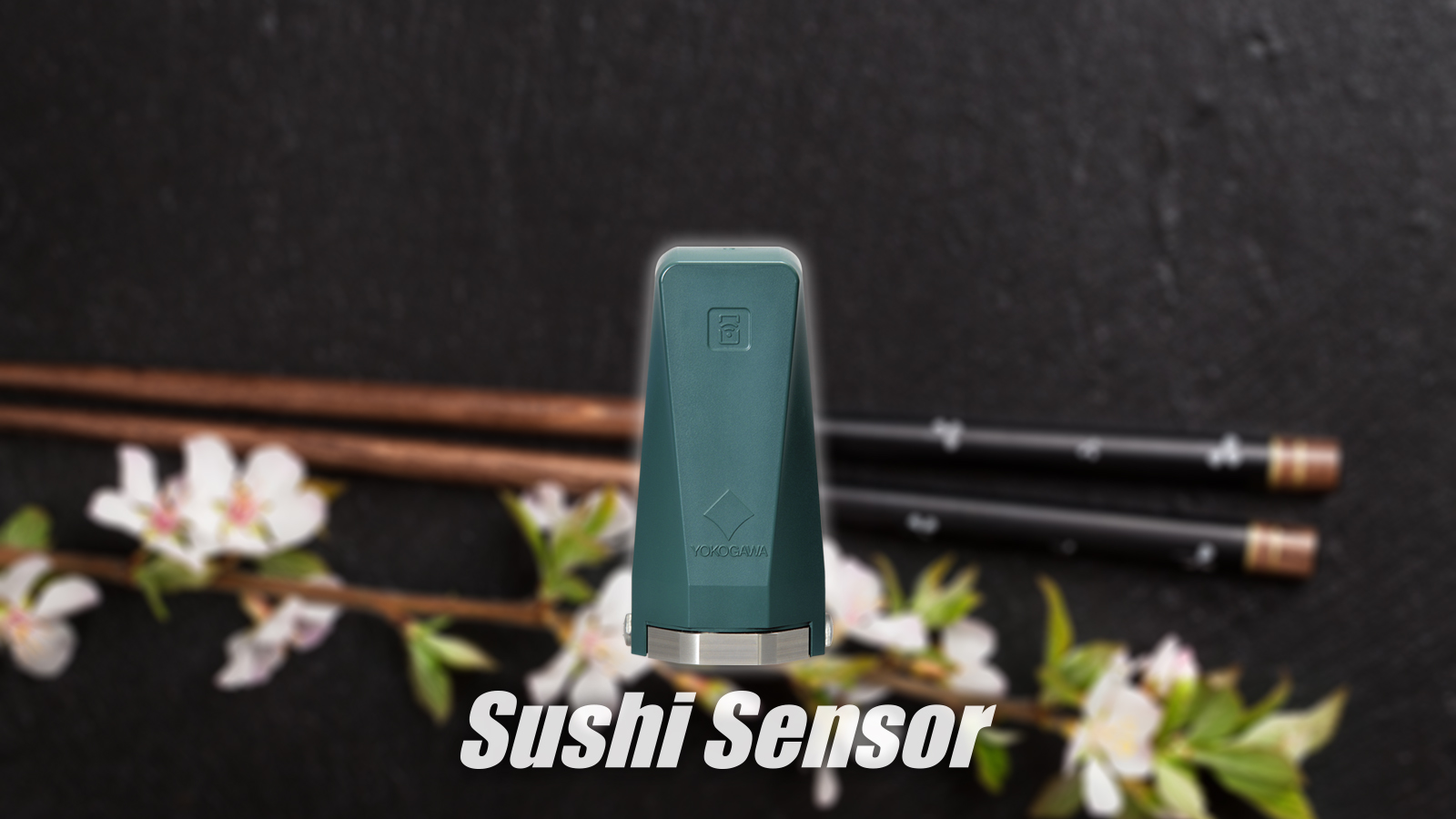 Sushi Sensor XS770A wallpaper for PC